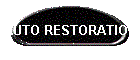 AUTO RESTORATION