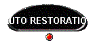 AUTO RESTORATION