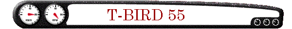 T-BIRD 55